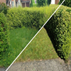 Garden Hedge Cutting in Market Harborough Leicestershire